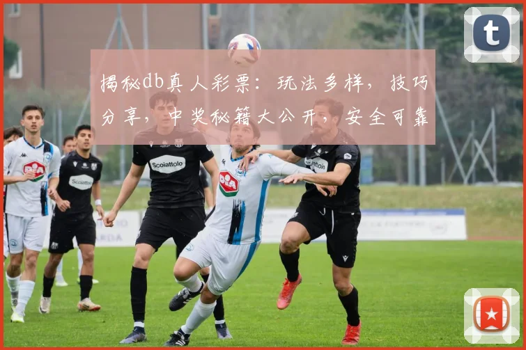 揭秘db真人彩票：玩法多样，技巧分享，中奖秘籍大公开，安全可靠三步走