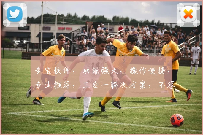 多宝软件，功能强大，操作便捷，专业推荐，三合一解决方案，不容错过，体验非凡